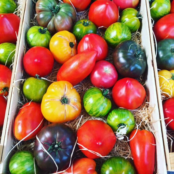 Ferielejligheder i Provence - Markeder Domaine de la cotedor Tomater